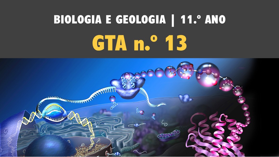 GTA 13 | T1 | ST3 | Ciclo celular