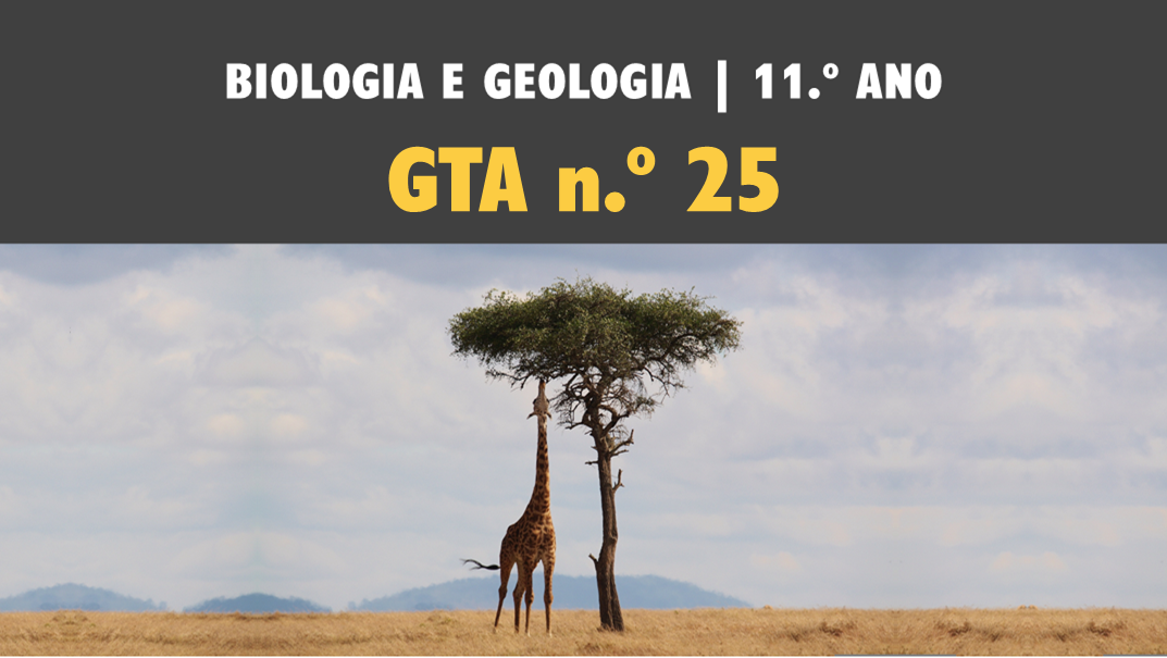 GTA 25 | T3 | ST1 | Origem das células eucarióticas
