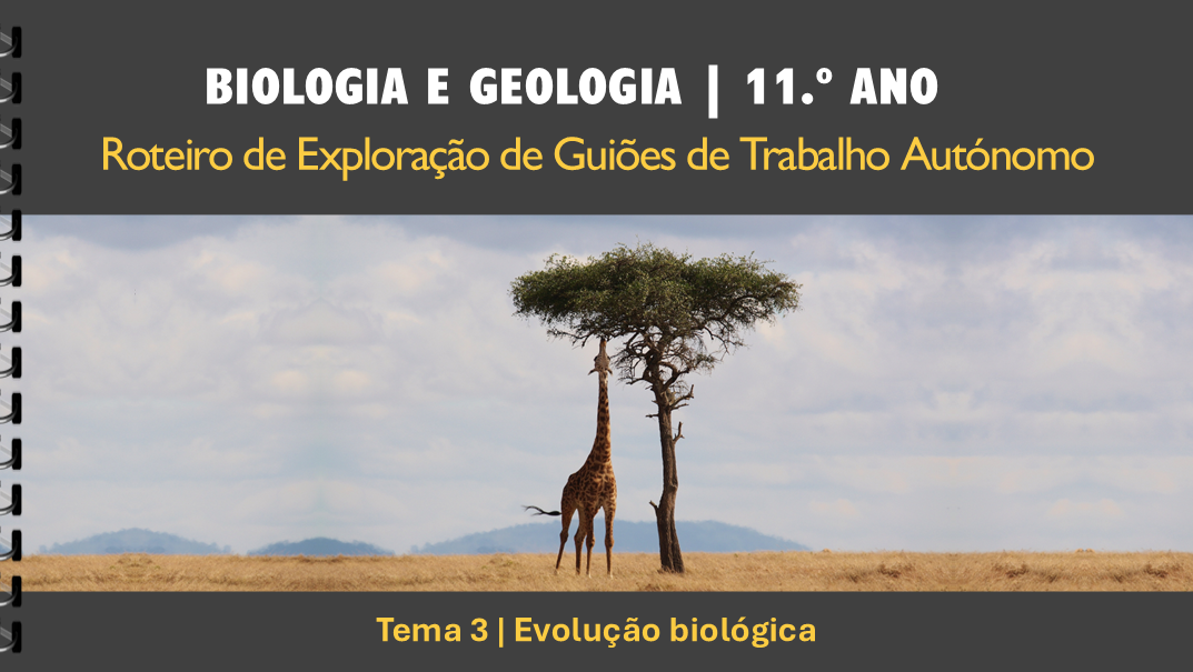 Roteiro | T3 | Evolução biológica