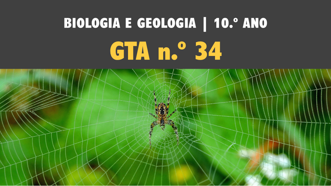 GTA 34 | T3 | ST1 | Diversidade e organização biológica