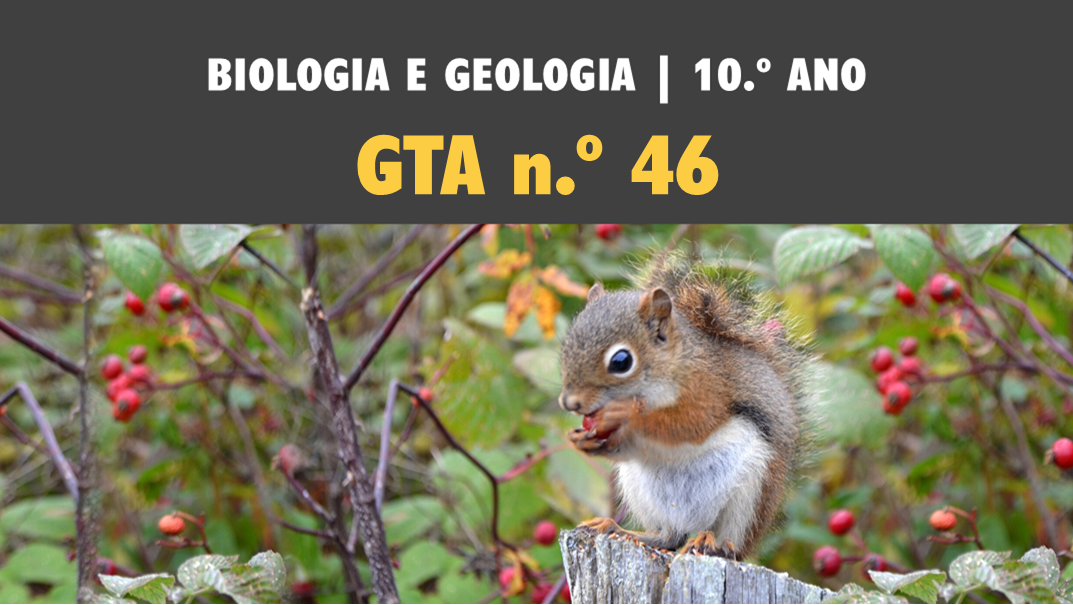 GTA 46 | T4 | ST1 | Da membrana celular à obtenção de matéria nos seres heterotróficos