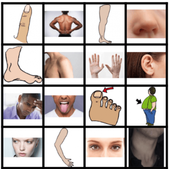 Imagem ilustrativa