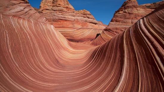 the wave
