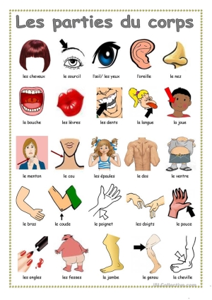 Imagem ilustrativa