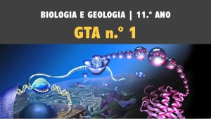GTA 1 | T1 | ST1 | Os ácidos nucleicos