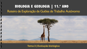 Roteiro | T3 | Evolução biológica