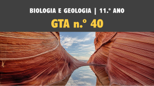 GTA 40 | T5 | ST1 | Os minerais