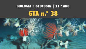GTA 38 | T4 | Sistemática dos seres vivos