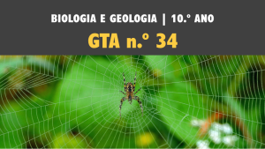 GTA 34 | T3 | ST1 | Diversidade e organização biológica