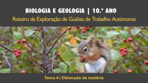 Roteiro | Tema 4 | Obtenção de matéria