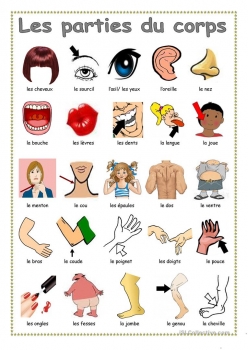 Imagem ilustrativa