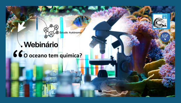 Imagem do webinário | O oceano tem química?
