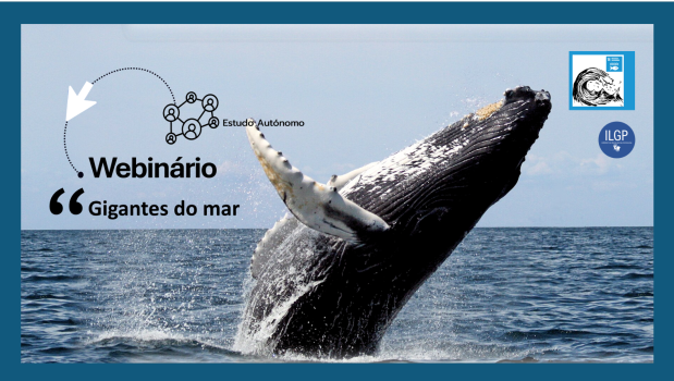 gigantes do mar