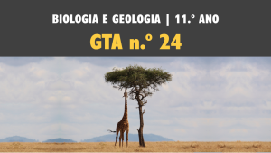GTA 24 | T3 | ST1 | Origem das células eucarióticas