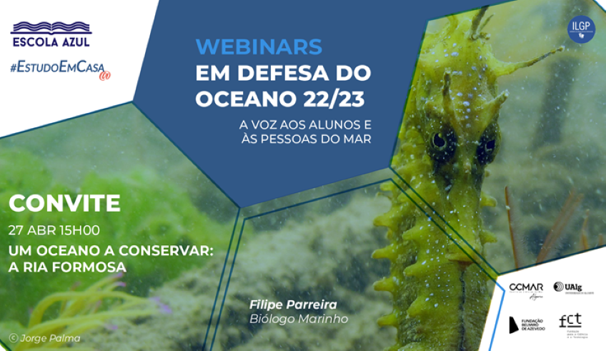 Webinar: Um Oceano a conservar