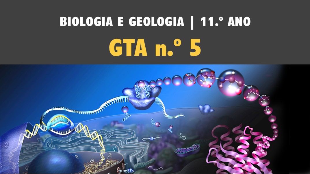 GTA 5 | T1 | ST1 | Os ácidos nucleicos