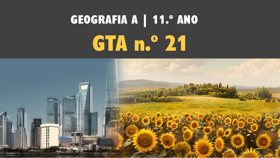 GTA 20 | T3 | ST 2.1 | Dinâmicas das áreas urbanas | Organização interna das cidades