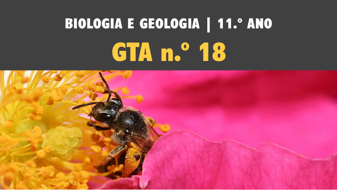 GTA 18 | T2 | ST2 | Meiose e reprodução sexuada