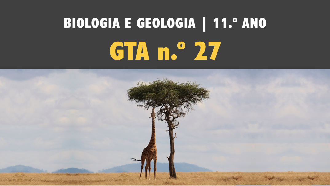 GTA 27 | T3 | ST2 | Mecanismos de evolução