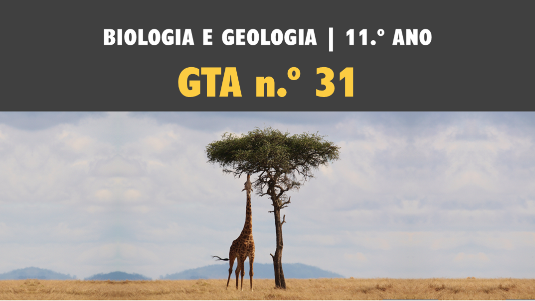 GTA 31 | T3 | ST2 | Mecanismos de evolução