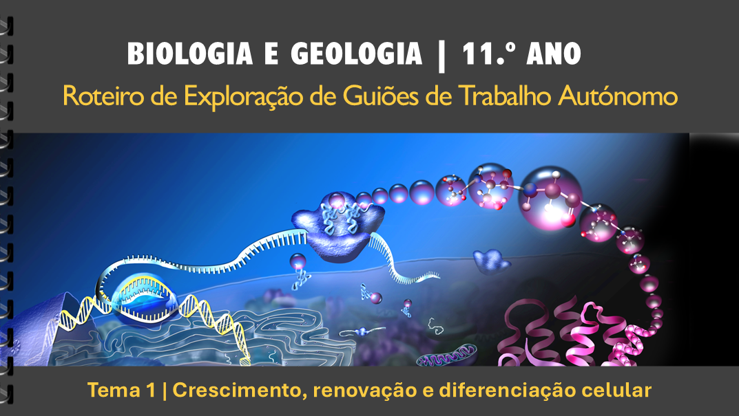 Roteiro | Tema 1 | Crescimento, renovação e diferenciação celular