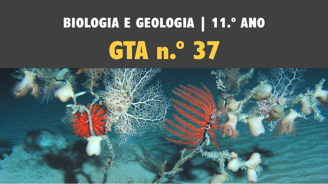 GTA 37 | T4 | Sistemática dos seres vivos