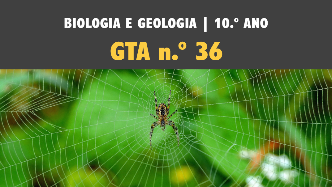 GTA 36 | T3 | ST2 | Células e biomoléculas