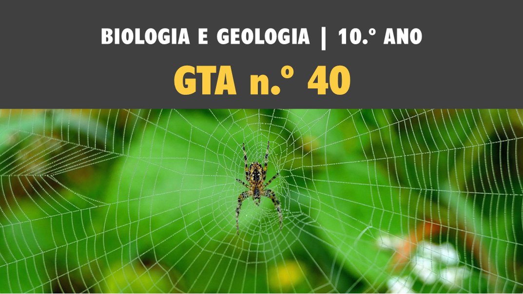 GTA 40 | T3 | ST2 | Células e biomoléculas