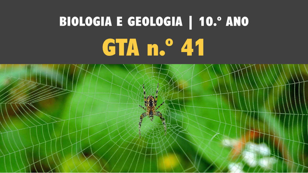 Imagem GTA 41 | T3 | ST2 | Células e biomoléculas