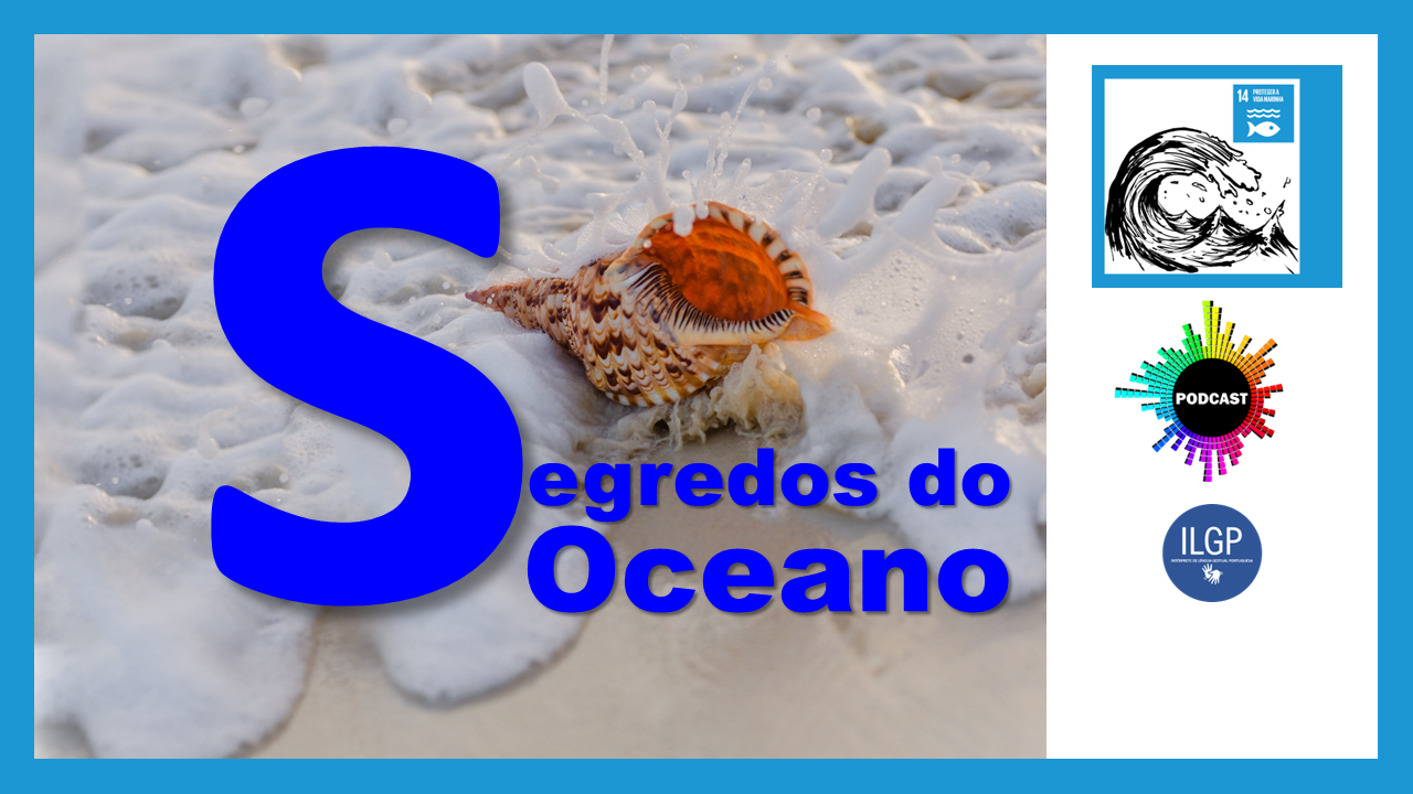 Segredos do oceano_ EPI 5