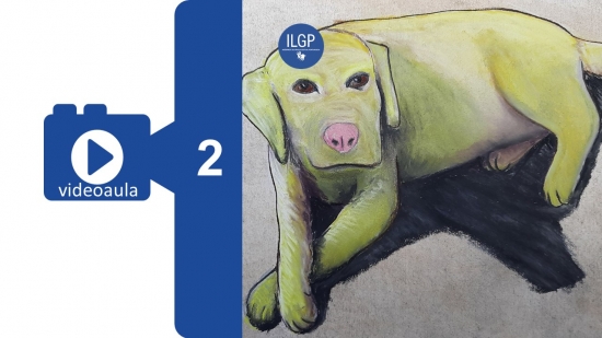 IMAGEM ILUSTRATIVA 2