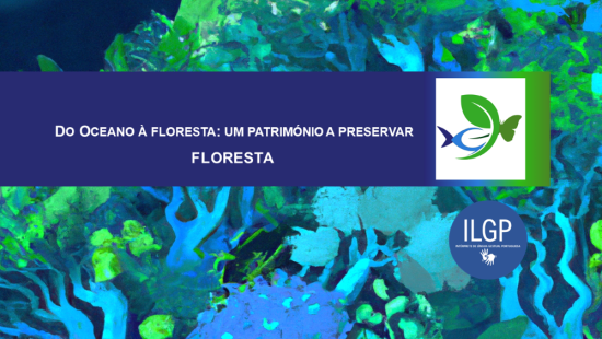 webinar Do Oceano à Floresta 2