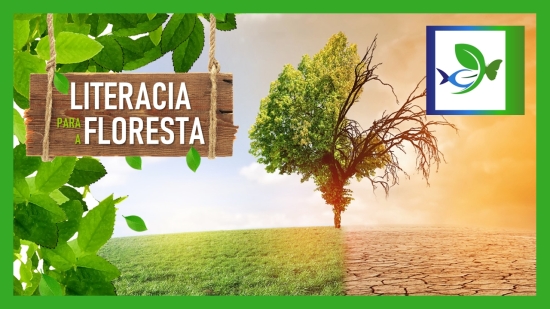 literacia floresta 4