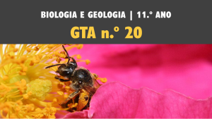 GTA 20 | T2 | ST2 | Meiose e reprodução sexuada​