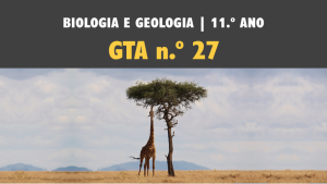 GTA 27 | T3 | ST2 | Mecanismos de evolução
