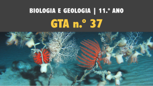 GTA 37 | T4 | Sistemática dos seres vivos