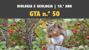 GTA 50 | T4 | ST1 | Da membrana celular à obtenção de matéria nos seres heterotróficos