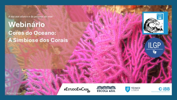 As cores do oceano 